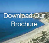 Download our brochure