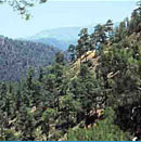 Troodos Mountains